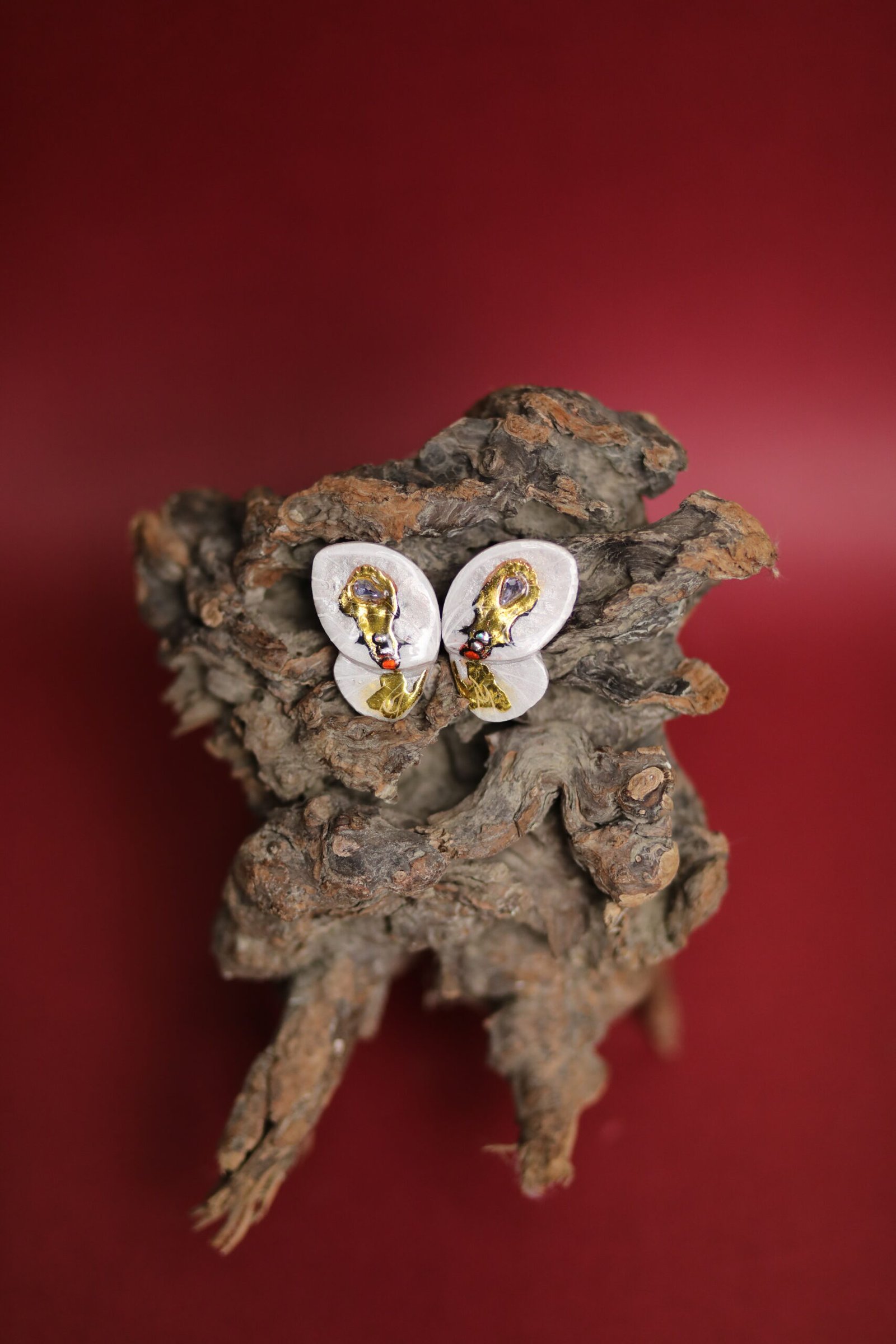 Fluturza Macrocilis Maia