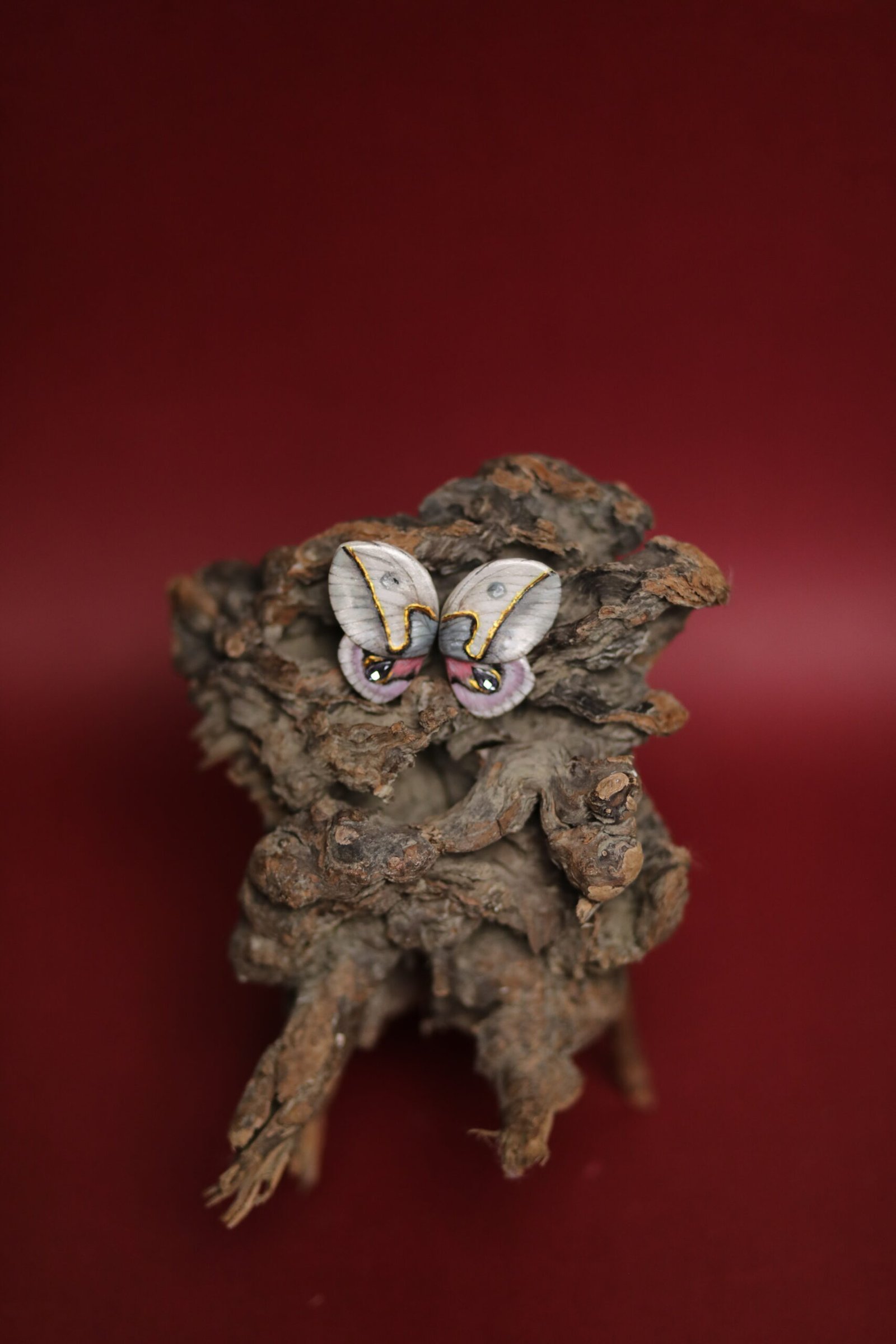 Fluturza Automeris Frankae